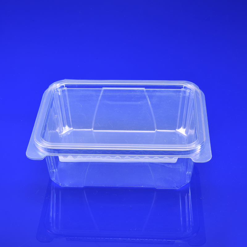 China Lettuce Container Manufacturers