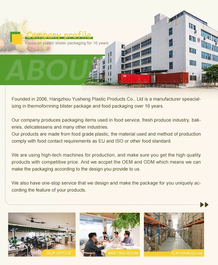 Top Plastic Food Containers Manufacturer in China