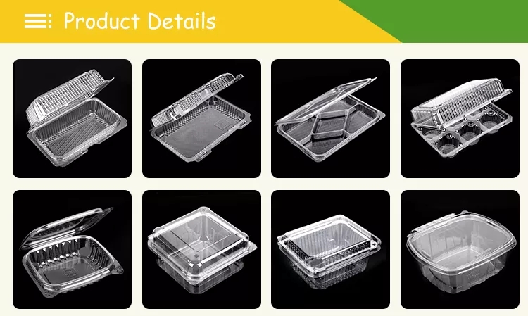 Top Plastic Food Containers Manufacturer in China