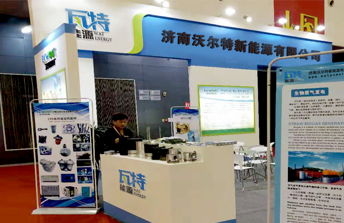 China International New Energy Industry Expo
