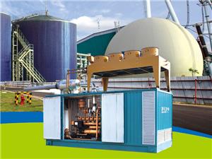 Biogas Generator Set