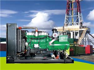 The Fuel Gas Generator Sets