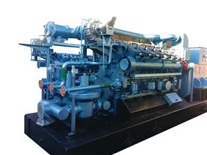WAT-12V190 Gas Generator Sets