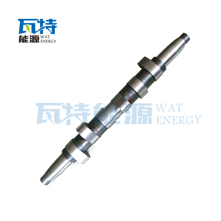Camshaft,in jection pump
