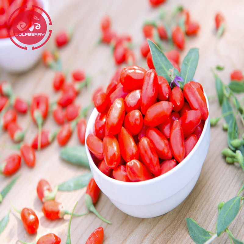 Conventional Natural Dried Goji Berry Wolfberry