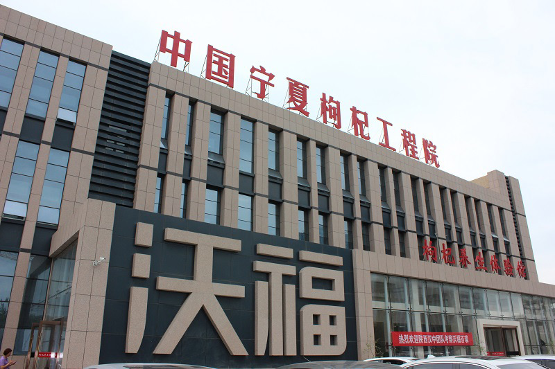 Ningxia Wolfberry Engineering Institute