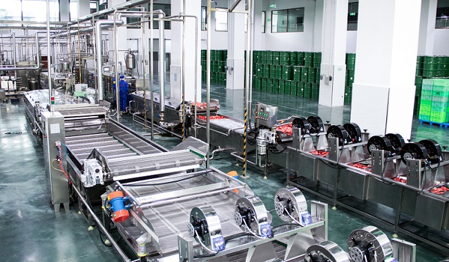 Wir haben die weltweit fortschrittlichste Produktionslinie für Goji-Saftgetränke. die verpackte, gefüllte, abgefüllte und andere Verpackungsprodukte übernehmen kann.