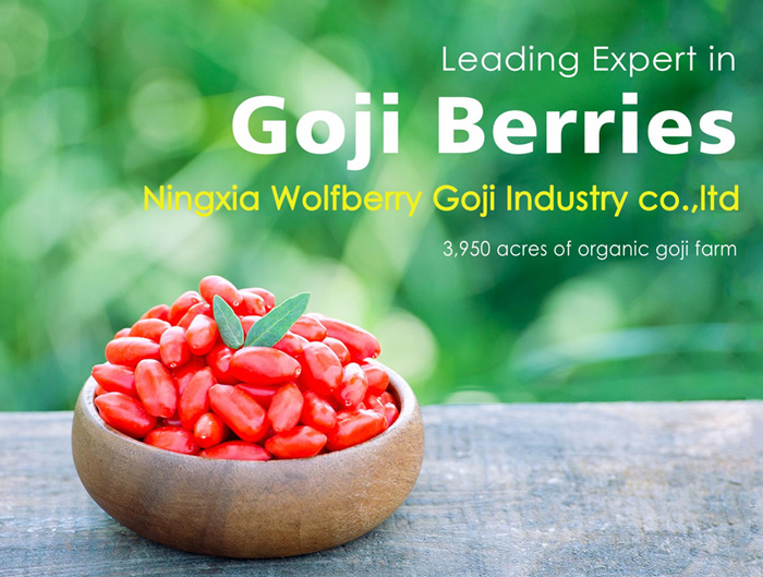 Fornecedor orgânico estável e confiável de Goji Berry