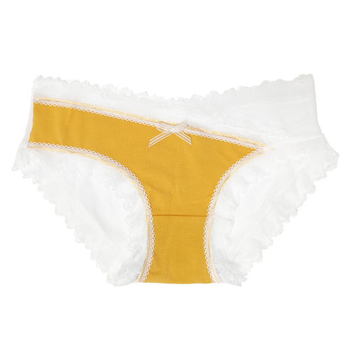 Plus Size Lace High Cut Panties For Women