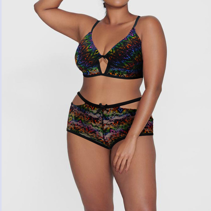 Ladies Plus Size Lace Bra Panty Set