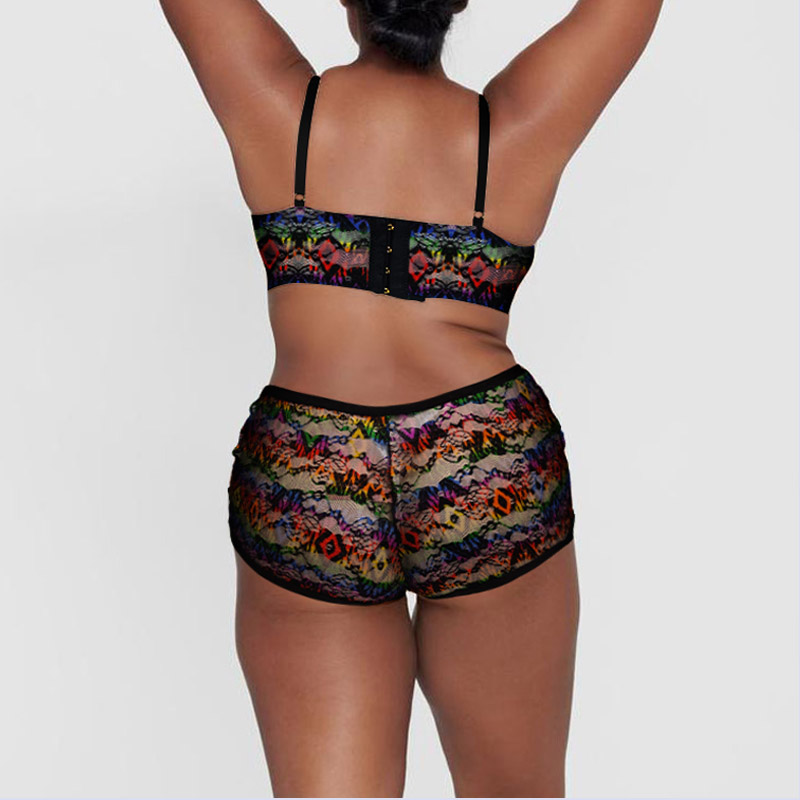 Ladies Plus Size Lace Bra Panty Set