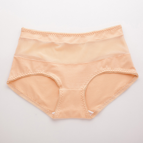 Women Sexy Seamless Cotton Mesh Hip Knickers