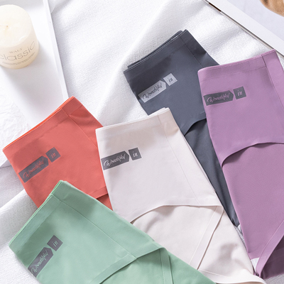Ladies Best Nylon Silk Seamless Underwear