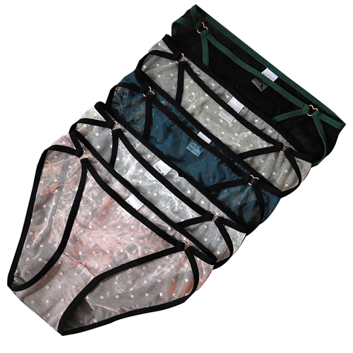 Ladies Transparent Lace Hipster Nylon Briefs