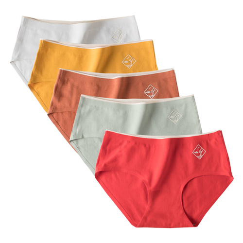 Organic Cotton Seamless Underwear For Women