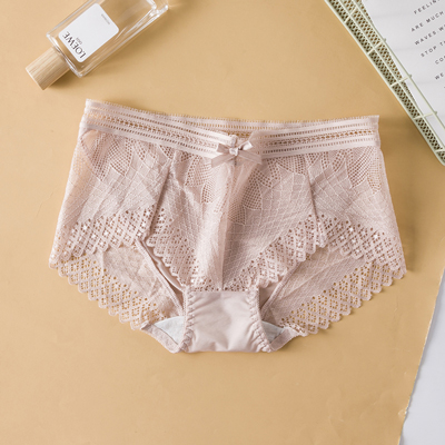 Ladies Tylish French Transparent Mesh Panties