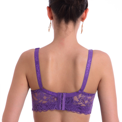 Ladies Sexy Nylon Transparent Lace Big Bra