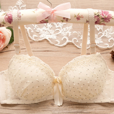 Cute Ladies Comfortable Mesh Lace A Cup Bras
