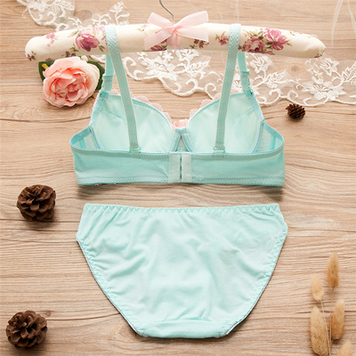 Sweet Ladies Sexy Comfy Bow Lace Bra And Panty