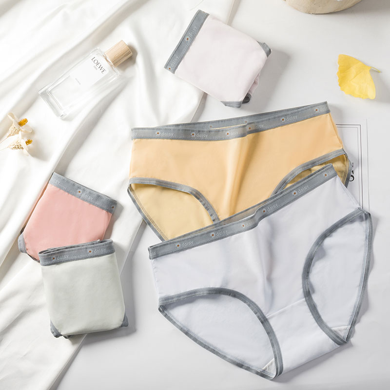 Ladies Ice Silk Nylon Cotton Brief Panties
