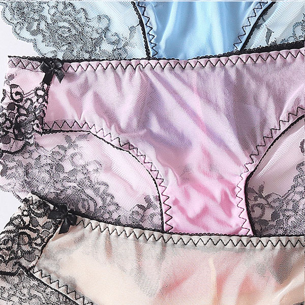 Young Ladies Transparent Mesh Lace Underwear
