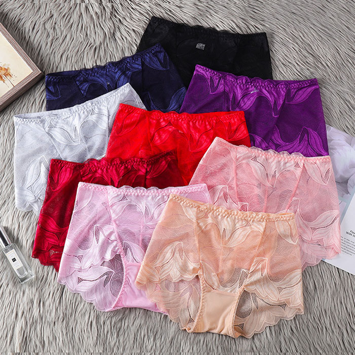 Young Ladies Skimpy Transparent Mesh Lace Panties
