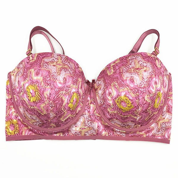 Ladies Embroidery Lace Padded Bra And Panty Sets