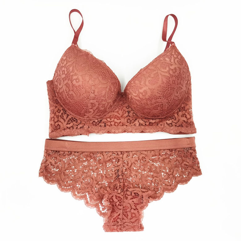 Ladies Transparent Lace Matching Bra And Pants Set