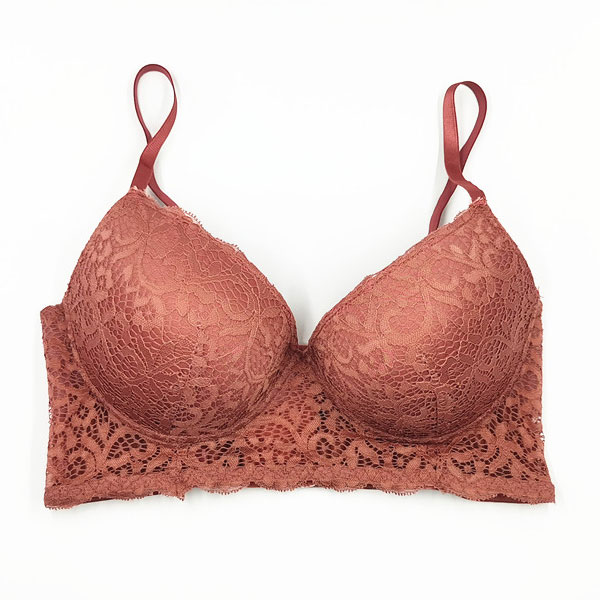 Ladies Transparent Lace Matching Bra And Pants Set