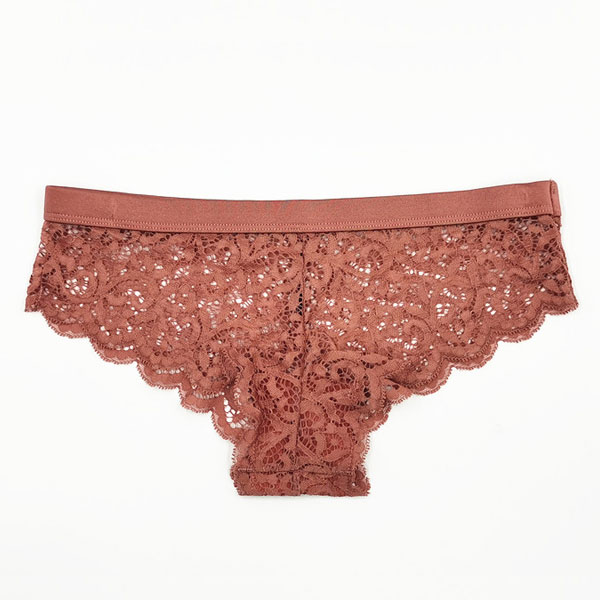 Ladies Transparent Lace Matching Bra And Pants Set