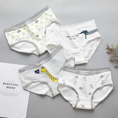 Ladies Most Breathable Cotton Underwear