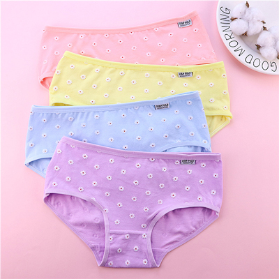 Ladies Chrysanthemum Printed Cotton Panties