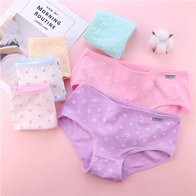 Ladies Chrysanthemum Printed Cotton Panties
