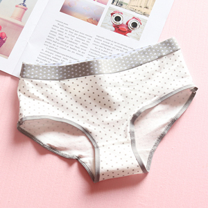 Ladies Skimpy Low Rise Cotton Brief Underwear