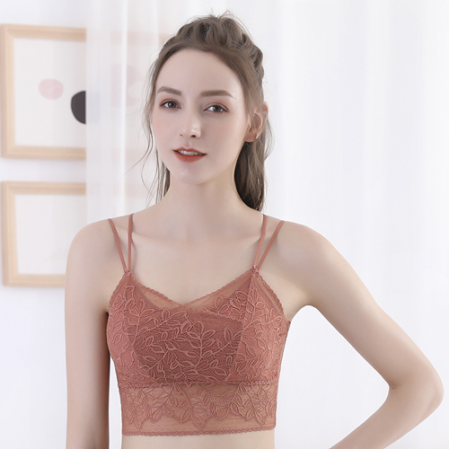 Sexy Transparent Net Bras For Plus Size Women