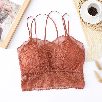 Sexy Transparent Net Bras For Plus Size Women