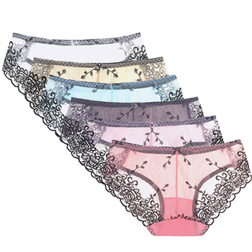 Young Ladies Transparent Mesh Lace Underwear
