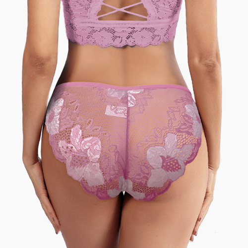 Frenchie Mesh Lace Underwear For Women