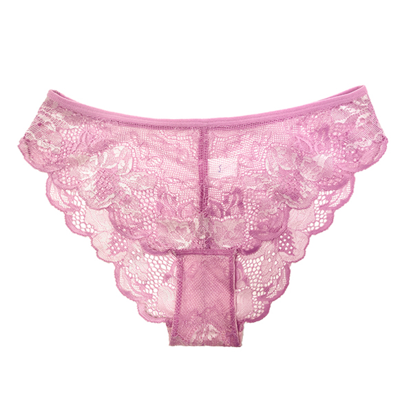 Frenchie Mesh Lace Underwear For Women