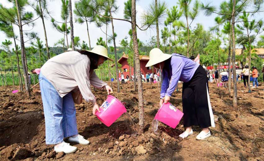 Planting Activity