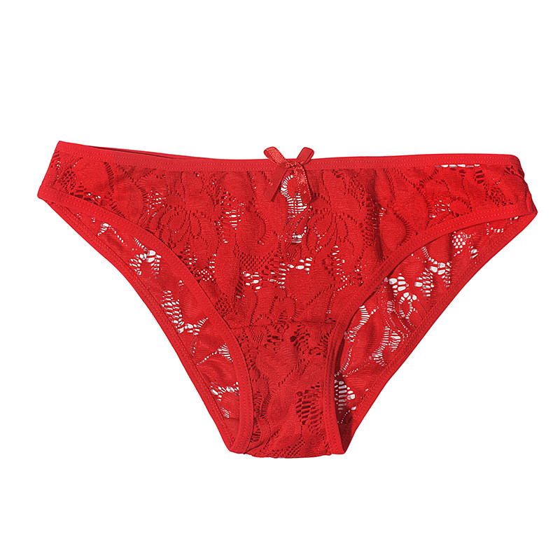 Nylon Hollow Out Lace Underwear For Women