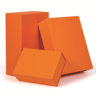 Bella confezione regalo di abbigliamento magnetico