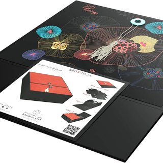 Caixa de presente de porta dupla com design especial