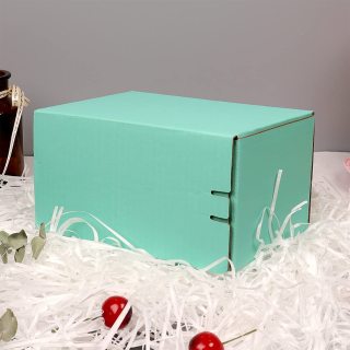 Verpackung aus Wellpappe Normalkarton