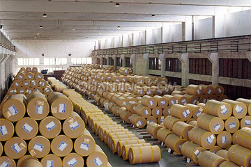 Development Trend of Packaging Industry