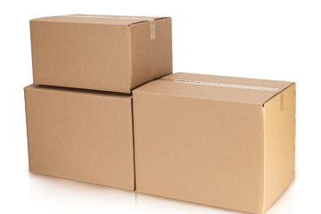 Exploring the Indian Paper Industry: Current Status, Risks, and Opportunities