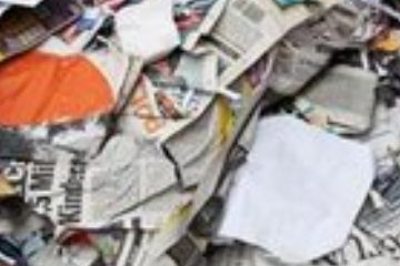 Global Pulp and Paper Industry Review and Outlook for Quarter 1 2024