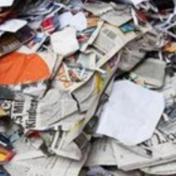 Global Pulp and Paper Industry Review and Outlook for Quarter 1 2024