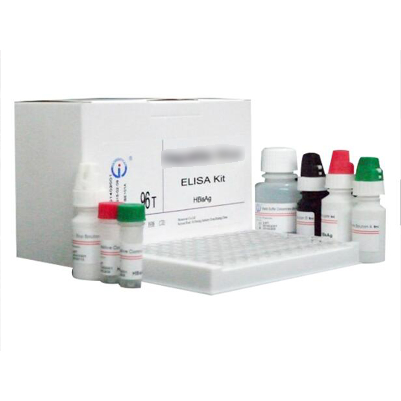 Elisa Test Kits Human 96T/48T Qualitative Enzyme Immunoassay Kit