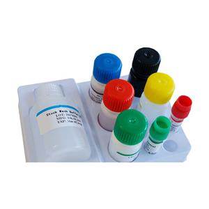 Kits de prueba Elisa Kit de inmunoensayo enzimático cualitativo humano 96T/48T Biobase — imagen 2